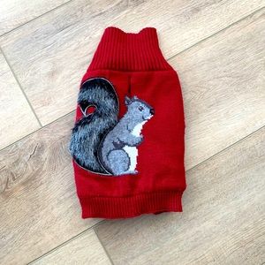 Squirrel dog sweater